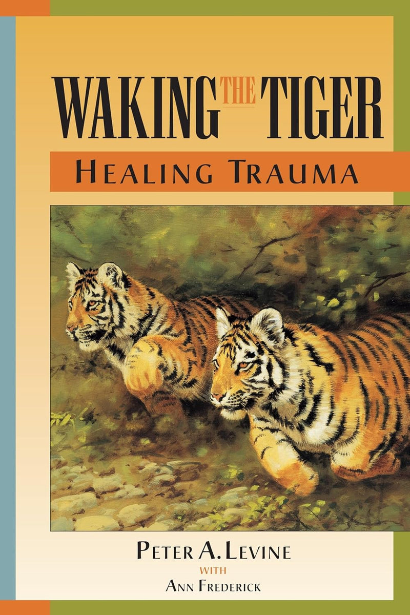 Trauma Therapy Bundle Stack